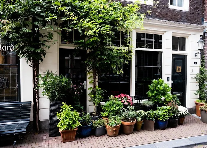 The Blossom House Amsterdam